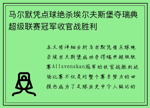 马尔默凭点球绝杀埃尔夫斯堡夺瑞典超级联赛冠军收官战胜利