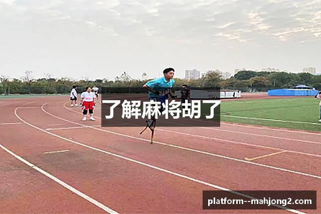 了解麻将胡了
